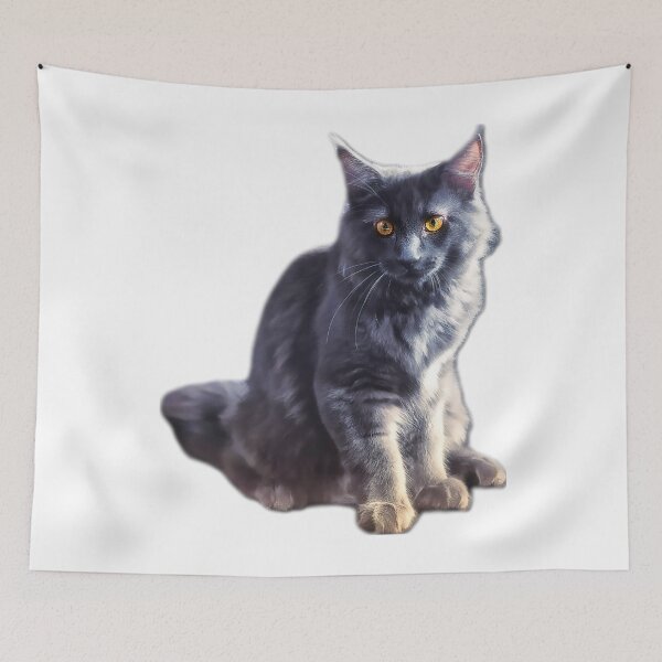Item preview, maine coon cat TSHIRT designed and sold by GOLDFAMILYSHOP.
