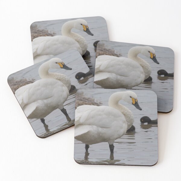 Item preview, Bewick Swan designed and sold by LaurenTucker.