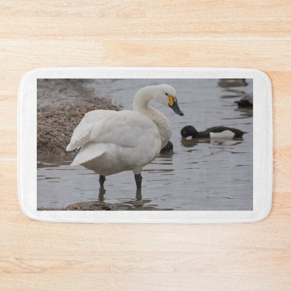 Item preview, Bewick Swan designed and sold by LaurenTucker.