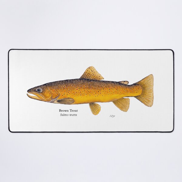 Item preview, Brown Trout Painting designed and sold by Stephen Emms.