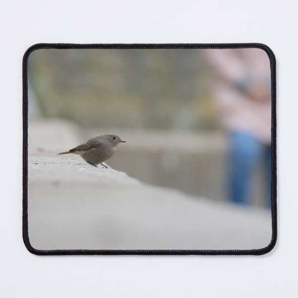 Item preview, Black Redstart designed and sold by LaurenTucker.