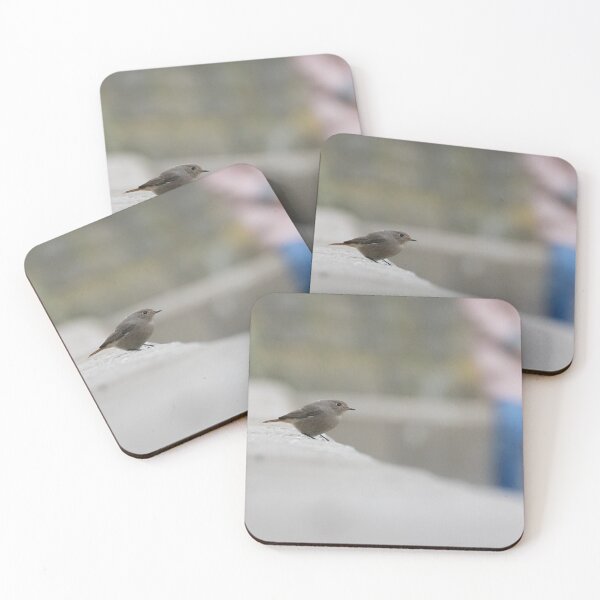 Item preview, Black Redstart designed and sold by LaurenTucker.