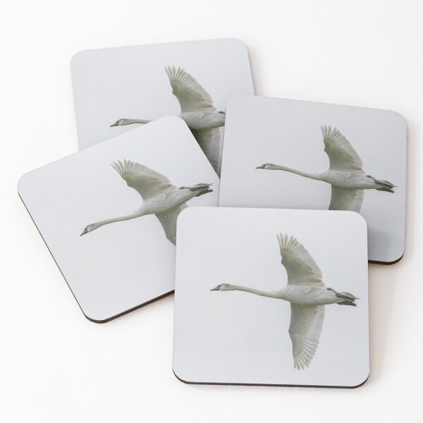 Item preview, cisne mudo designed and sold by LaurenTucker.