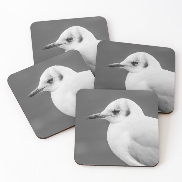 Item preview, Black Headed Gull designed and sold by LaurenTucker.