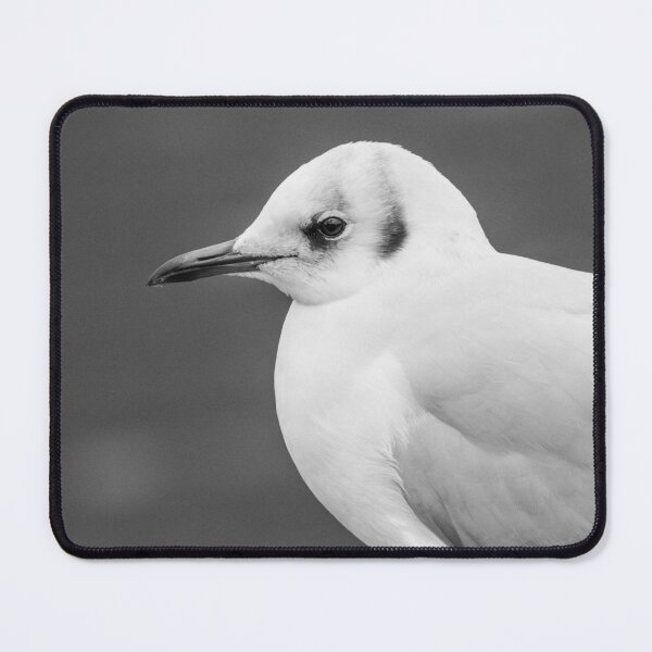 Item preview, Black Headed Gull designed and sold by LaurenTucker.
