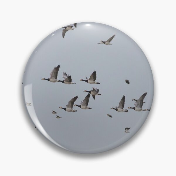 Item preview, Barnacle Geese @ Lapwing Flock designed and sold by LaurenTucker.