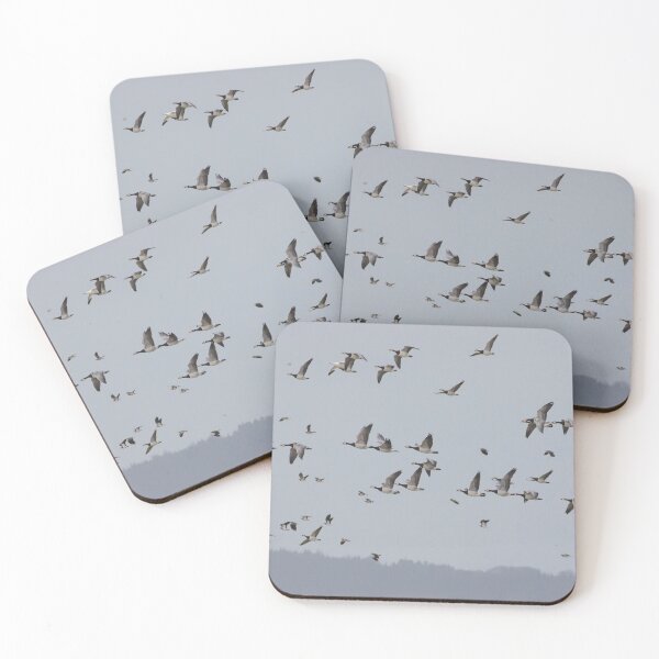 Item preview, Barnacle Geese @ Lapwing Flock designed and sold by LaurenTucker.