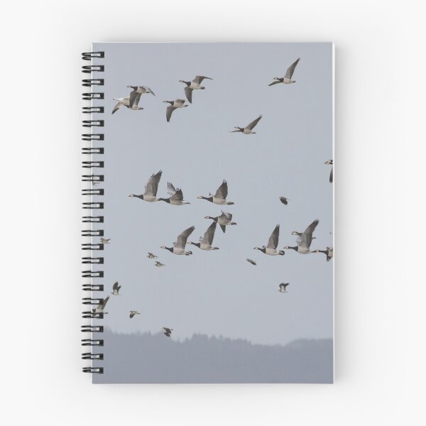 Item preview, Barnacle Geese @ Lapwing Flock designed and sold by LaurenTucker.