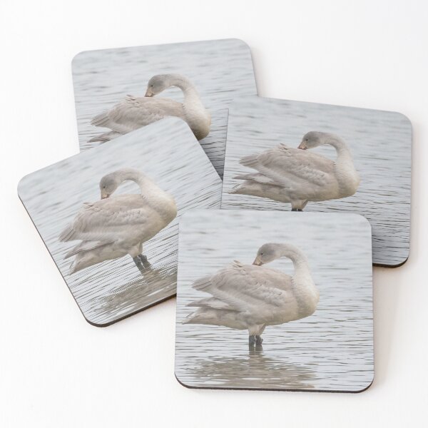 Item preview, Cisne de Bewick designed and sold by LaurenTucker.