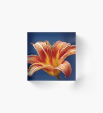 Tiger Lilly Acrylic Block