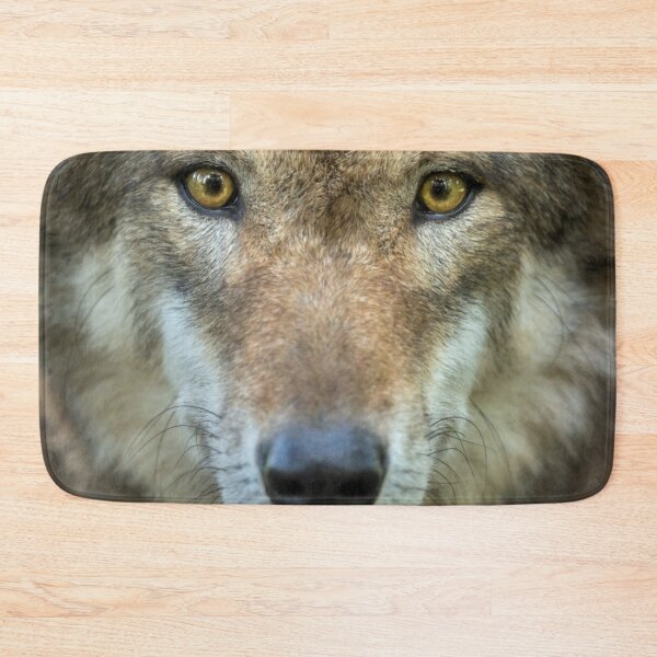 Item preview, Timber wolf-staring at you designed and sold by nitty73.