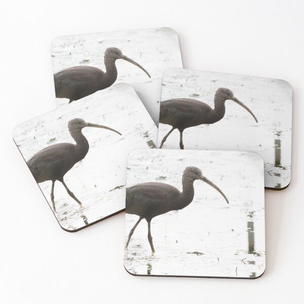 Item preview, Glossy Ibis designed and sold by LaurenTucker.