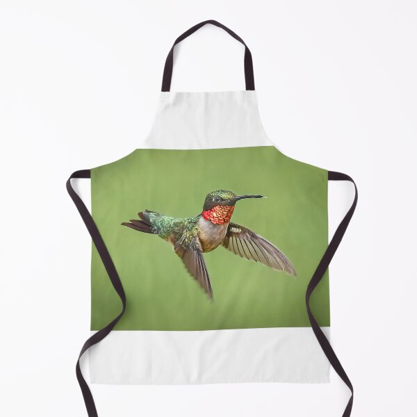 Item preview, Hummingbird Male Ruby Throat designed and sold by candiscamera.