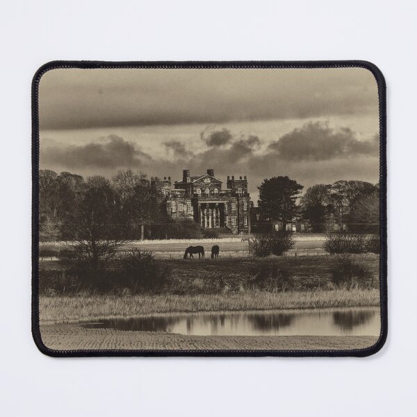 Item preview, Seaton Delaval Hall in antiqued sepia designed and sold by Violaman.