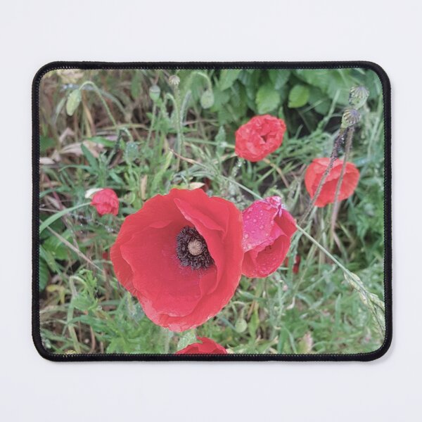 Artikelvorschau, Mohnblumen entworfen und verkauft von nastiaart.