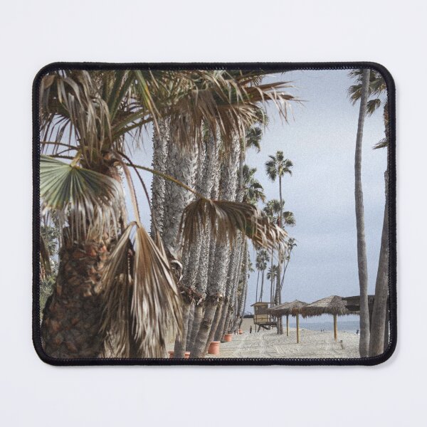 Item preview, Palm Tree Row designed and sold by Brady Chappell.