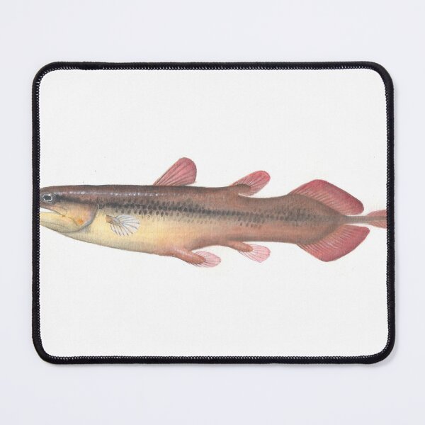 Item preview, Caridosuctor populosum Paleozoic fish designed and sold by LisasLair.