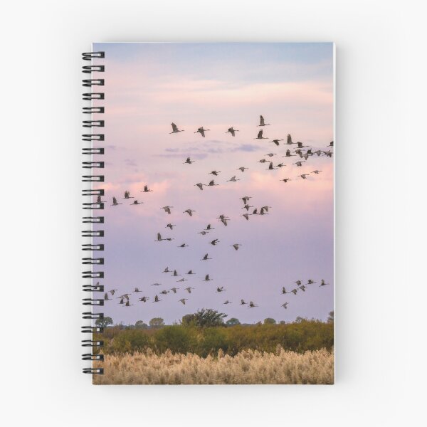Item preview, Morning Flight of the Sandhill Cranes by Debra Martz designed and sold by Debra Martz.
