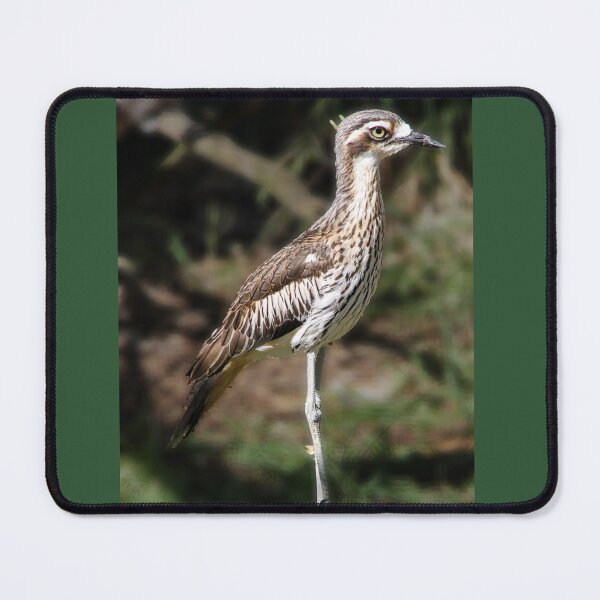 Item preview, Curlew designed and sold by indiafrankk.