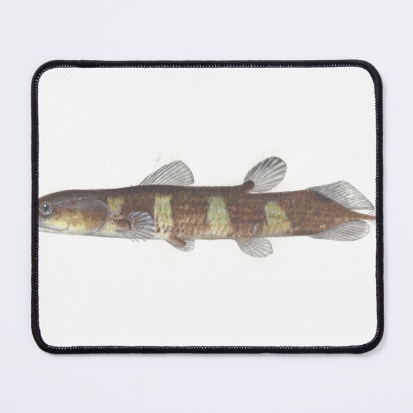 Item preview, Coelacanthus granulatus Paleozoic fish designed and sold by LisasLair.