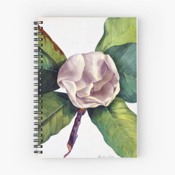 Item preview, Magnolia 1918 designed and sold by RapTops.