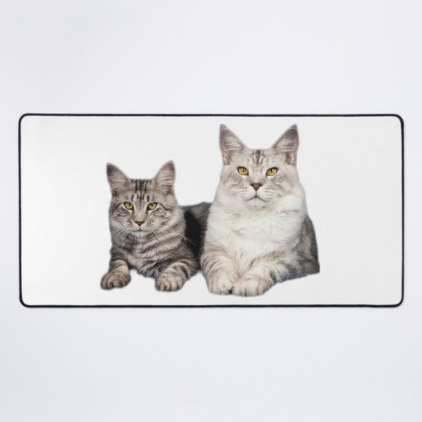 Item preview, maine coon cat TSHIRT designed and sold by GOLDFAMILYSHOP.