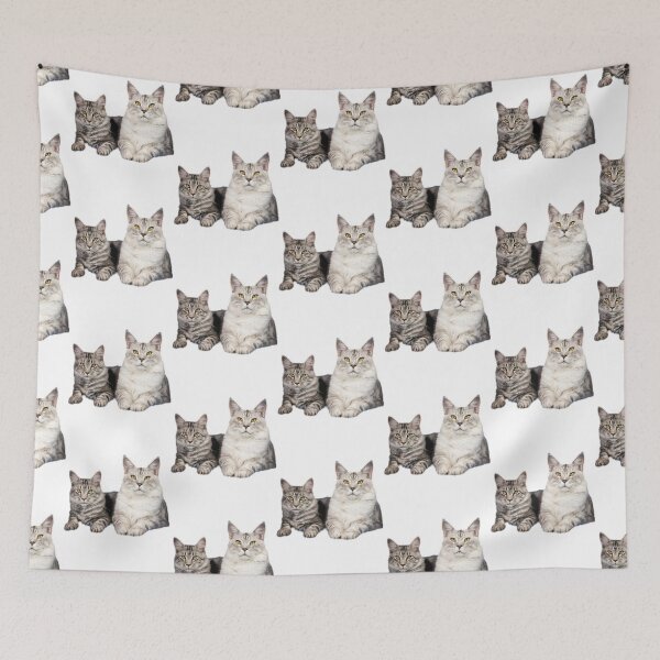 Item preview, maine coon cat TSHIRT designed and sold by GOLDFAMILYSHOP.