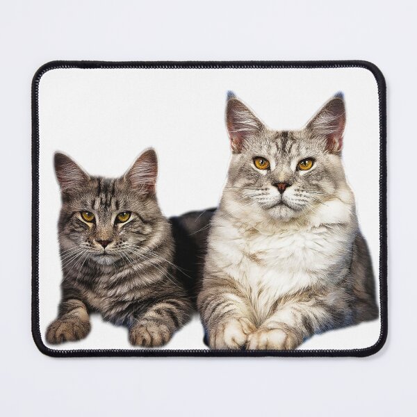 Item preview, maine coon cat TSHIRT designed and sold by GOLDFAMILYSHOP.