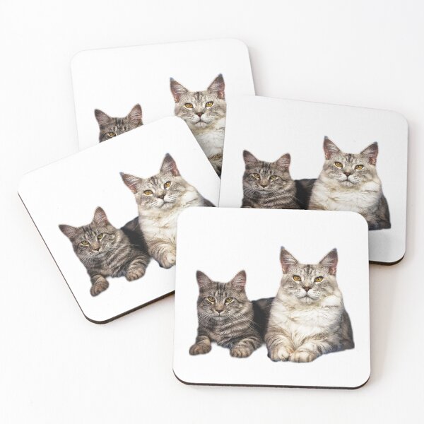 Item preview, maine coon cat TSHIRT designed and sold by GOLDFAMILYSHOP.