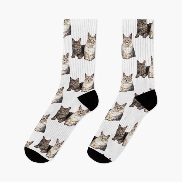 Item preview, maine coon cat TSHIRT designed and sold by GOLDFAMILYSHOP.