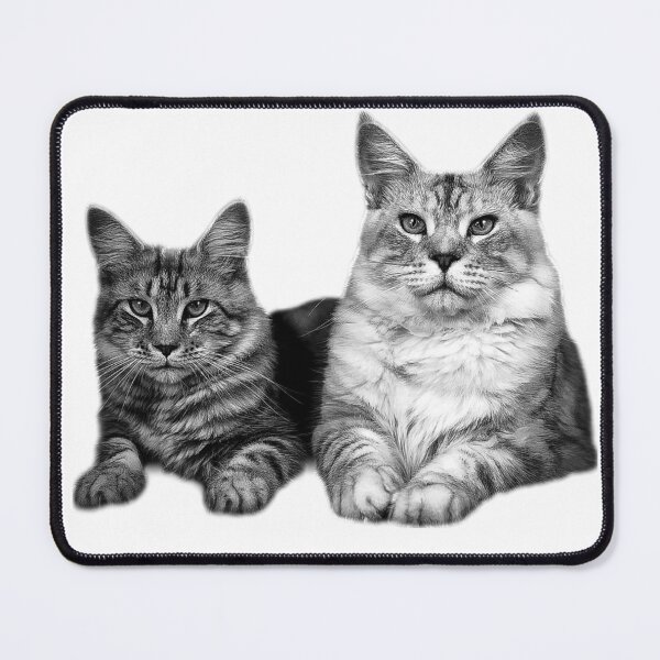 Item preview, maine coon cat TSHIRT designed and sold by GOLDFAMILYSHOP.
