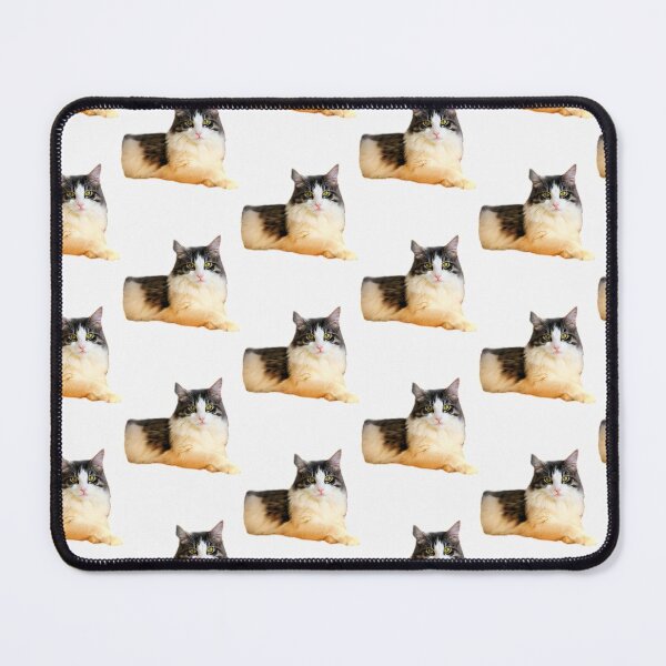 Item preview, maine coon cat TSHIRT designed and sold by GOLDFAMILYSHOP.