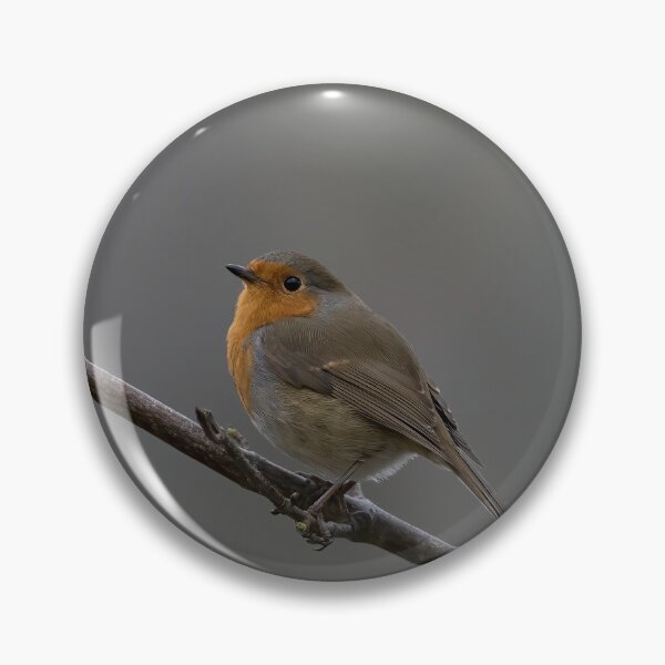 Item preview, Robin on a brunch designed and sold by atomov.