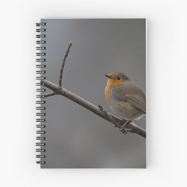 Item preview, Robin on a brunch designed and sold by atomov.