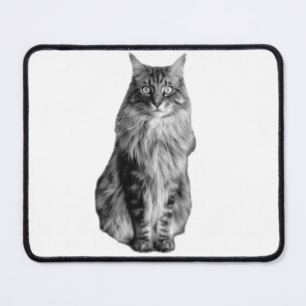 Item preview, maine coon cat TSHIRT designed and sold by GOLDFAMILYSHOP.