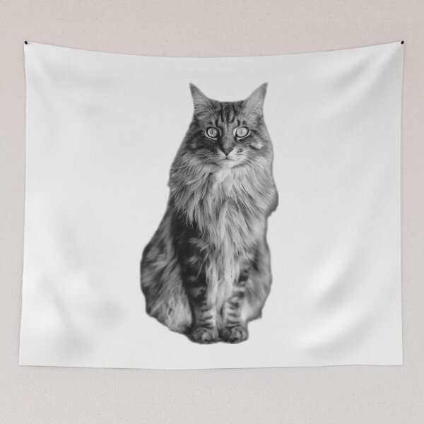 Item preview, maine coon cat TSHIRT designed and sold by GOLDFAMILYSHOP.
