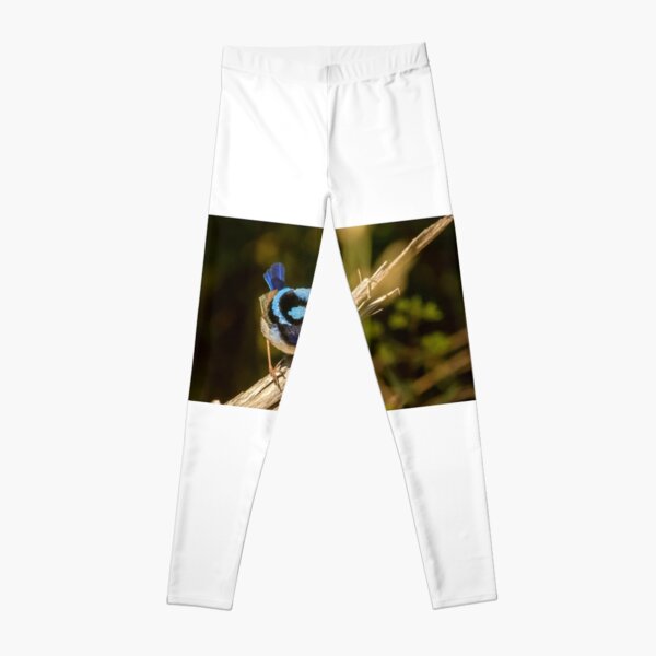 Male Fairy Wren Leggings