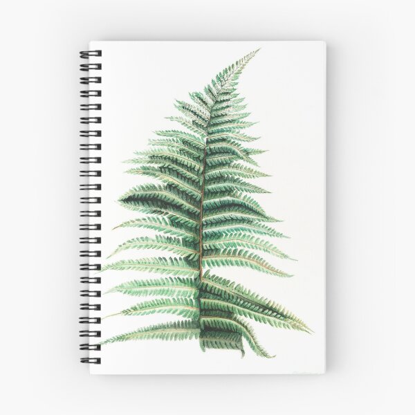 Item preview, FERN designed and sold by Ood24.