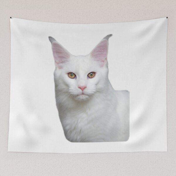 Item preview, maine coon cat TSHIRT designed and sold by GOLDFAMILYSHOP.