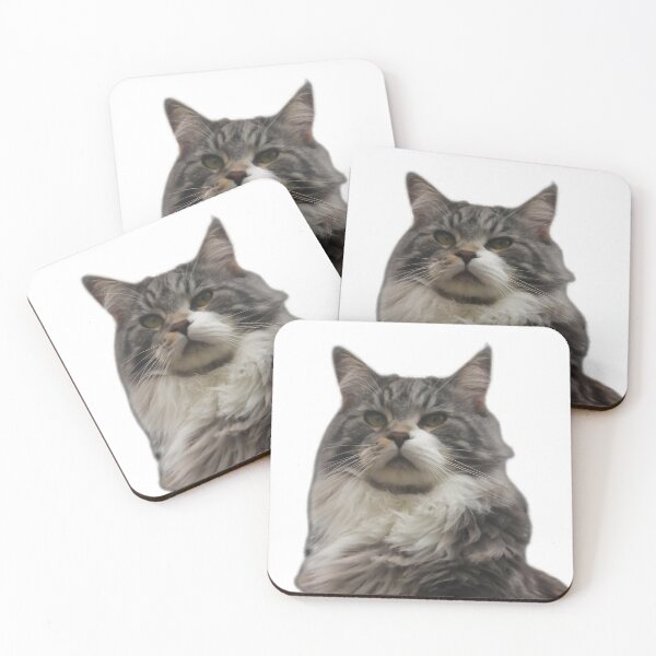 Item preview, maine coon cat TSHIRT designed and sold by GOLDFAMILYSHOP.