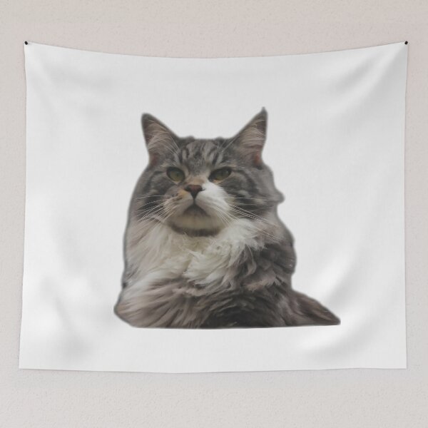 Item preview, maine coon cat TSHIRT designed and sold by GOLDFAMILYSHOP.