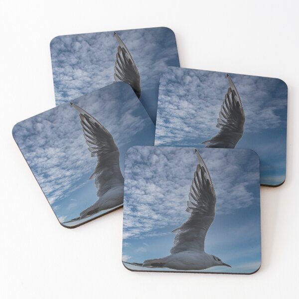 Item preview, Seagull in a flight, Bulgaria designed and sold by atomov.