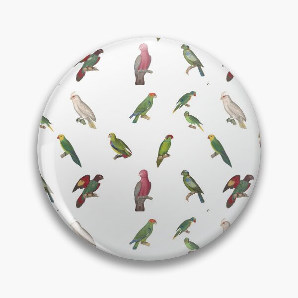 Item preview, Vintage parrot illustrations designed and sold by BirbFriends.