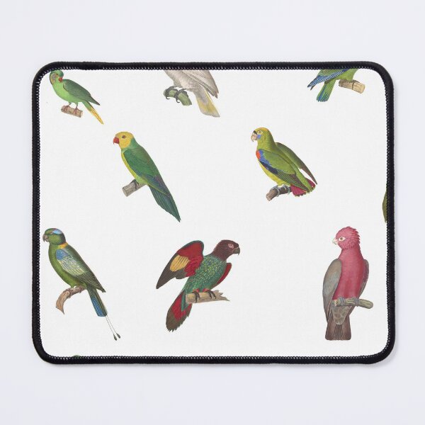 Item preview, Vintage parrot illustrations designed and sold by BirbFriends.