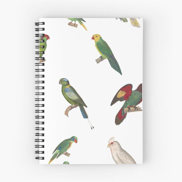 Item preview, Vintage parrot illustrations designed and sold by BirbFriends.