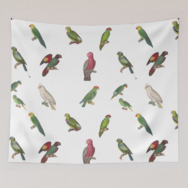 Item preview, Vintage parrot illustrations designed and sold by BirbFriends.