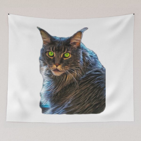 Item preview, maine coon cat TSHIRT designed and sold by GOLDFAMILYSHOP.