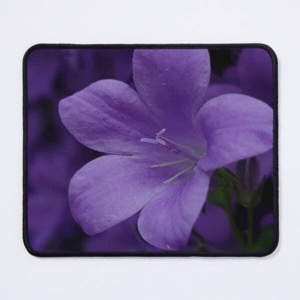 Item preview, Blue Violet designed and sold by designlee.