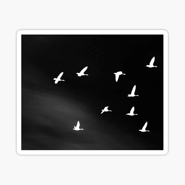 Item preview, White Birds Flying At Night  designed and sold by KathyGail.