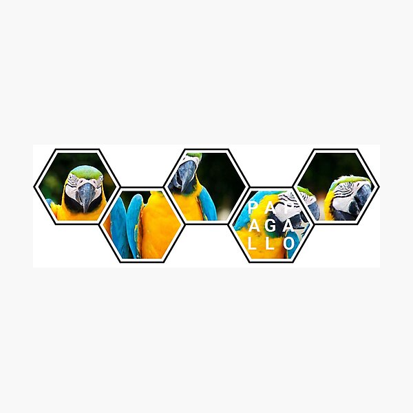 Item preview, Papagallo Parrots designed and sold by RicardoPeragua.